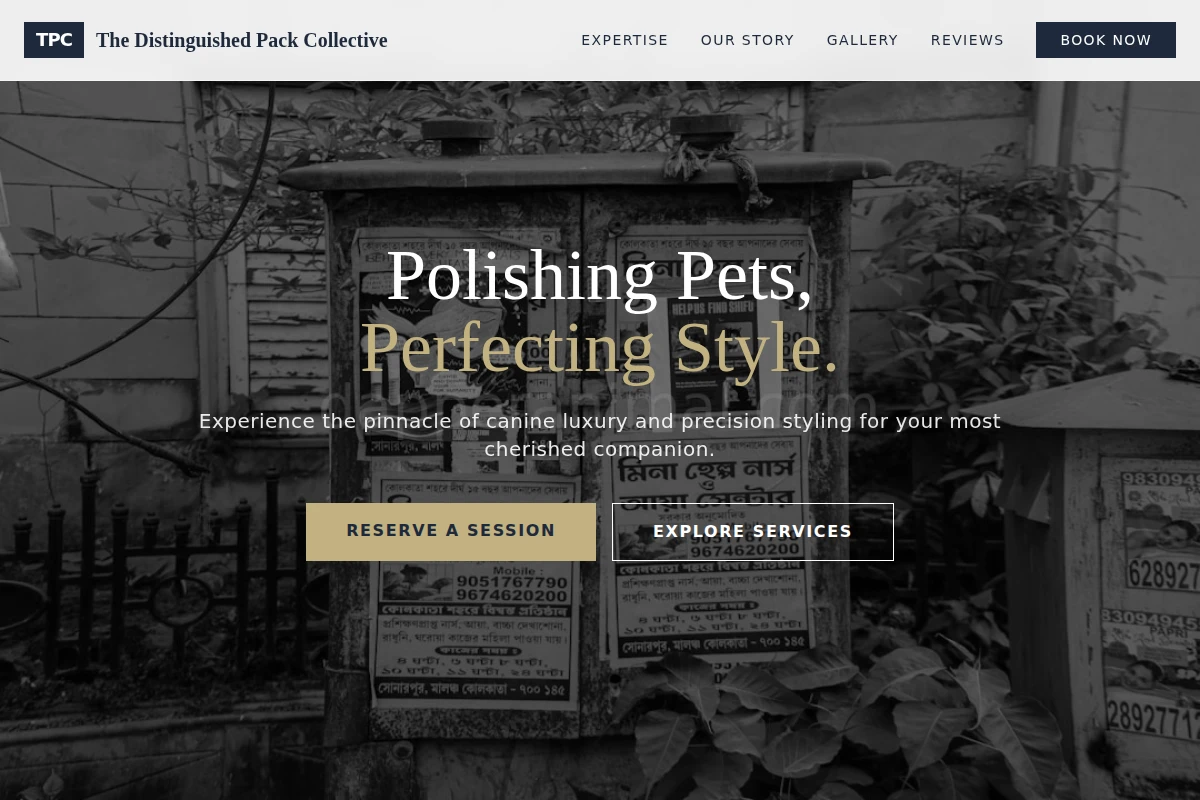 Canine Pet Services