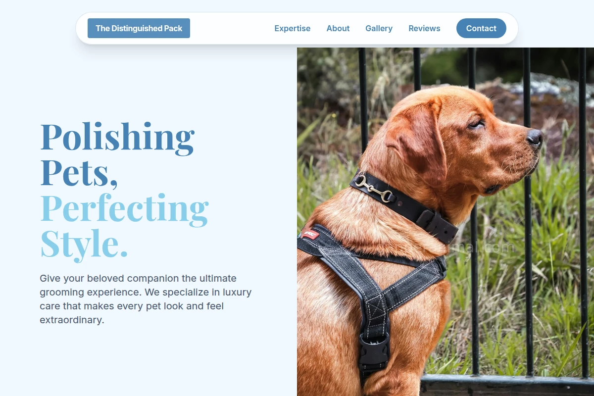 Bowtie Pet Services