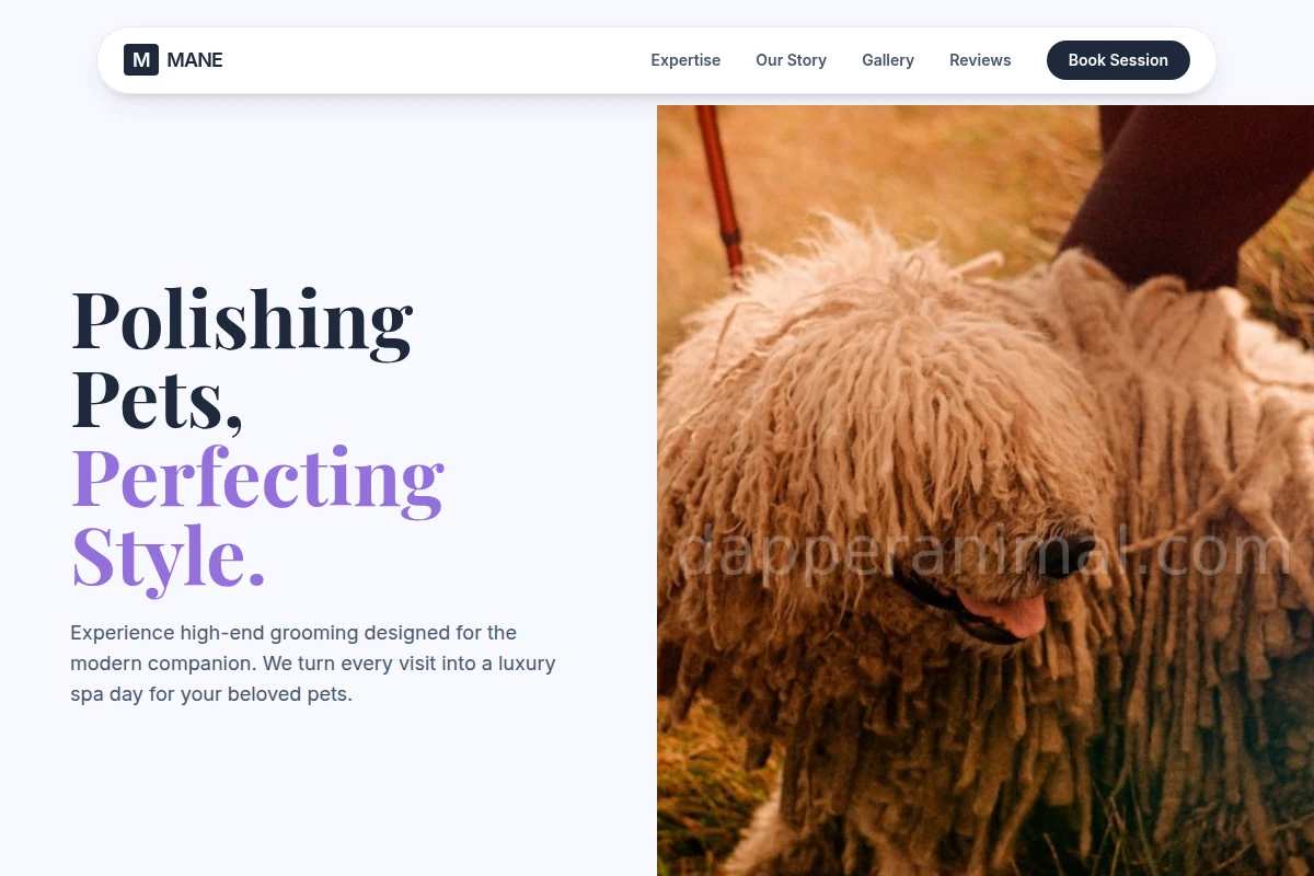 Mane Pet Services