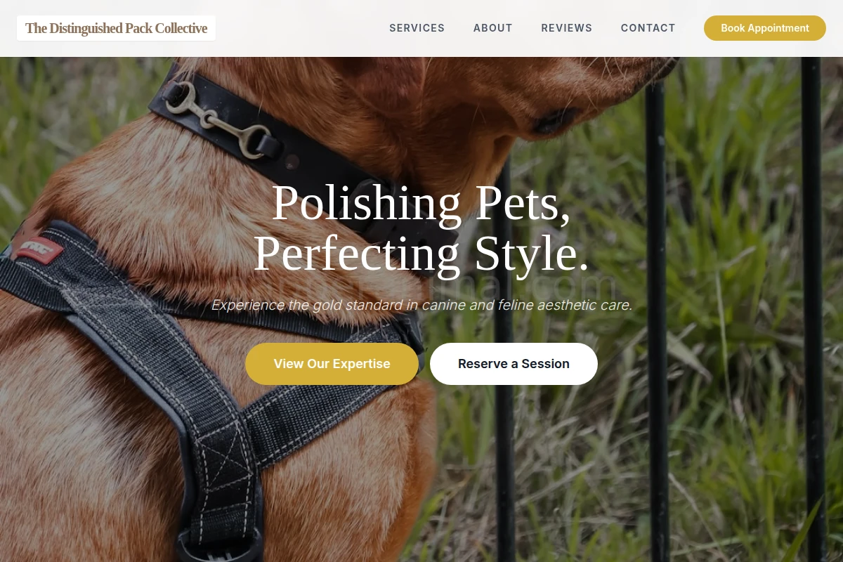 Grooming Pet Services