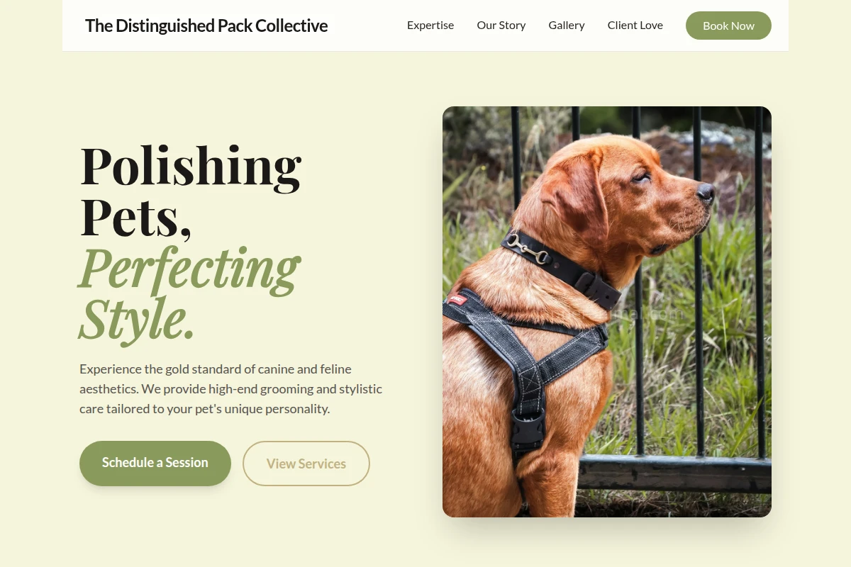 Wag Pet Services