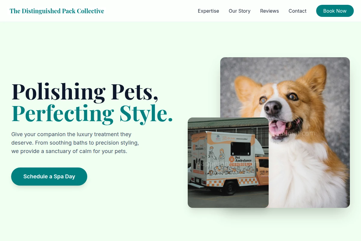 Groom Pet Services