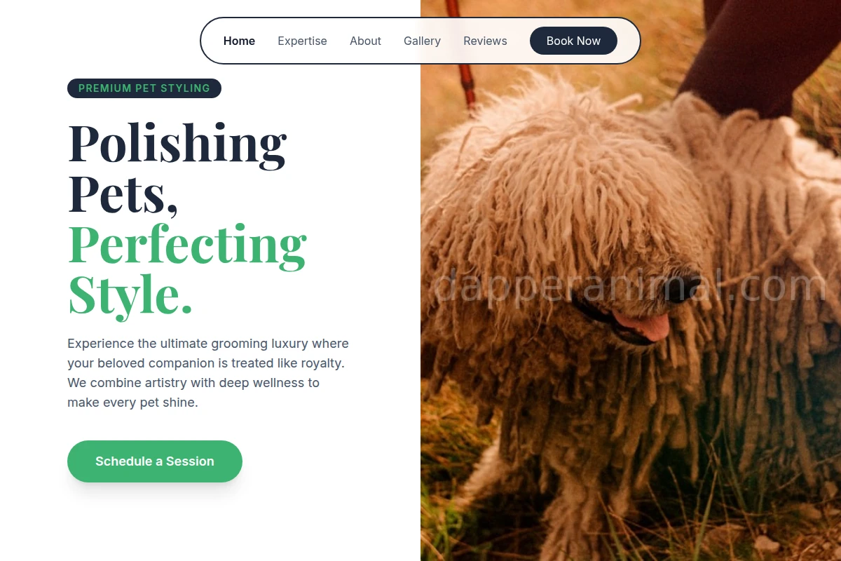 Mane Pet Services
