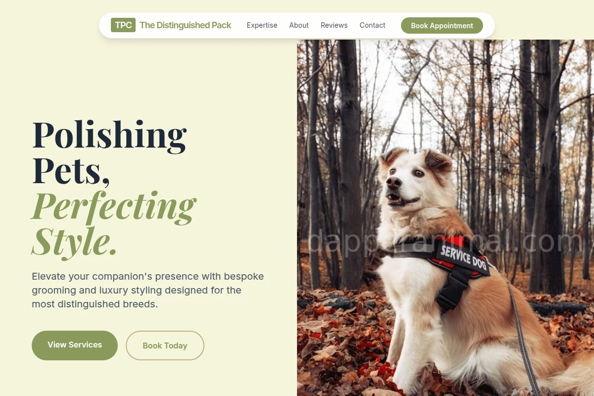 Collar Pet Services