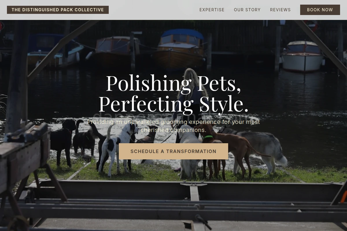 Collar Pet Services