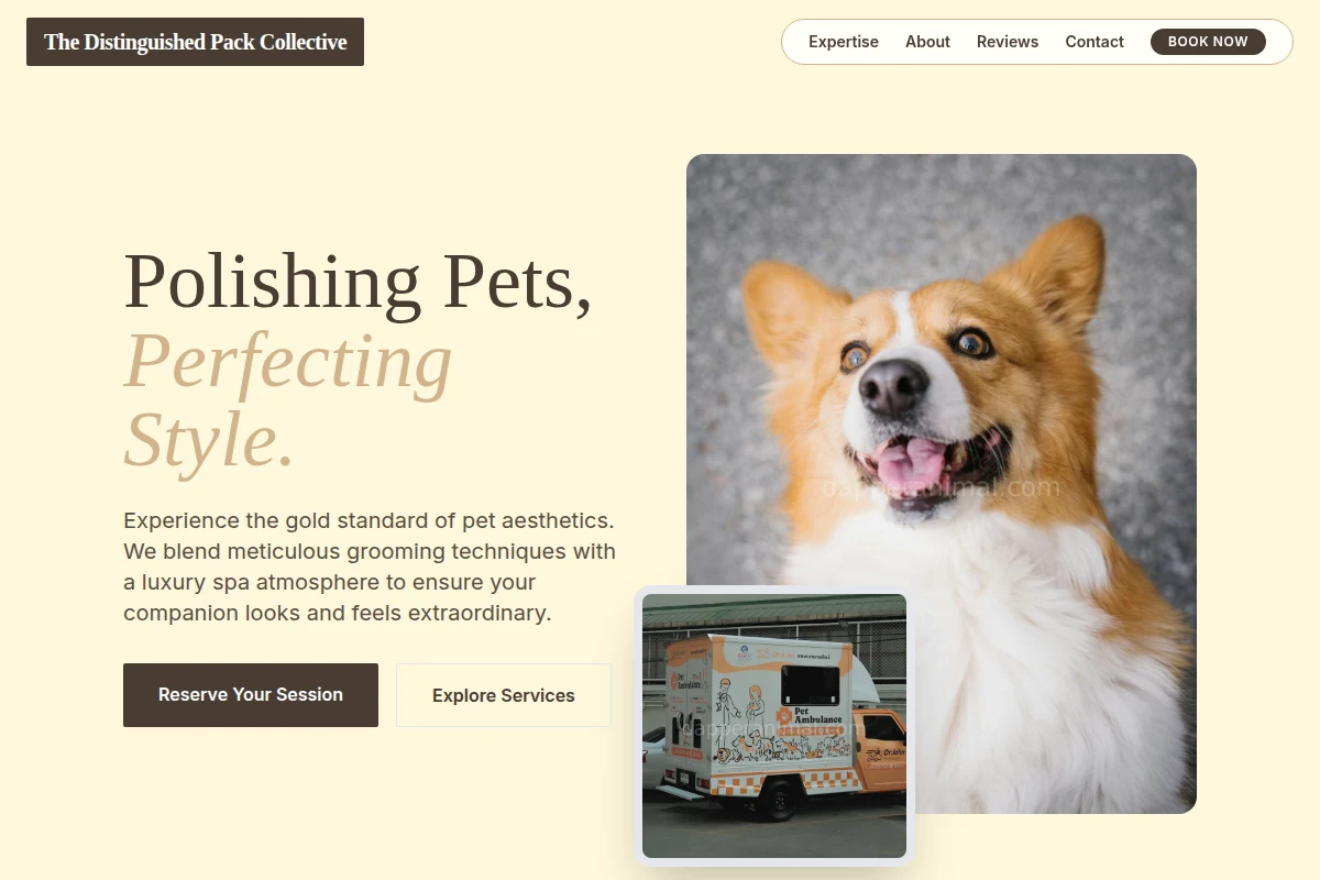 Velvet Pet Services