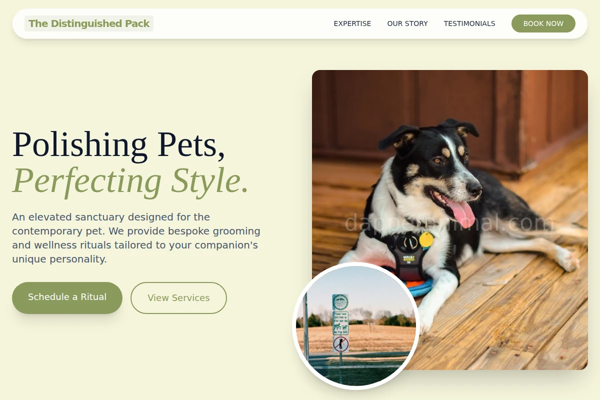 Meow Pet Services