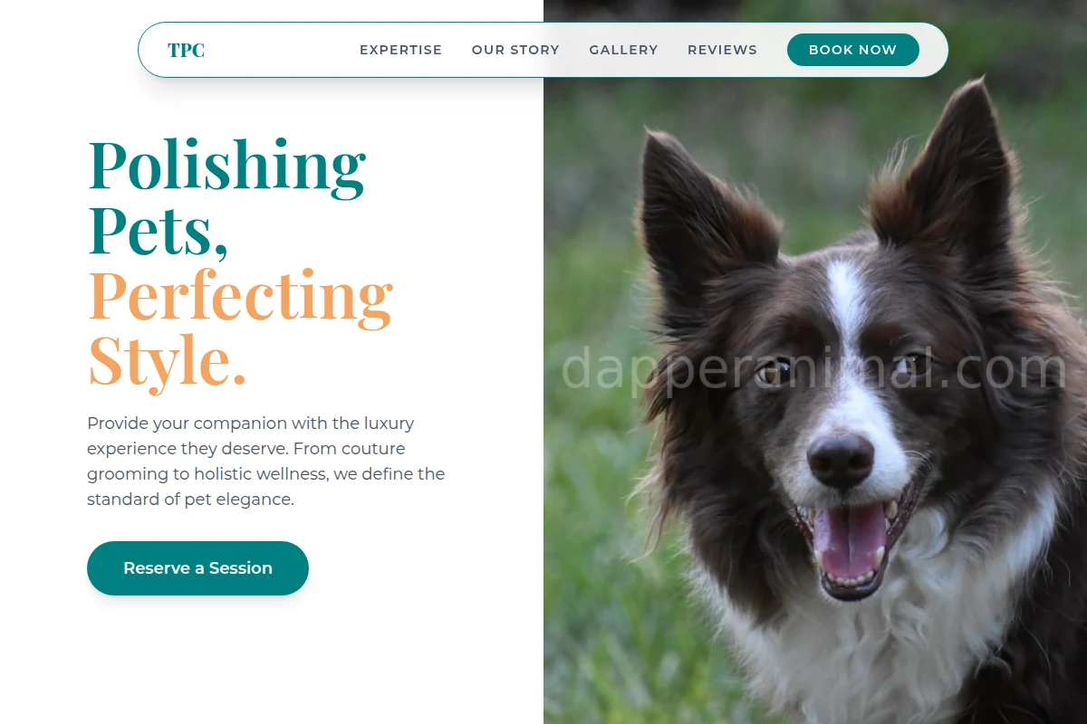 Luxury Pet Services