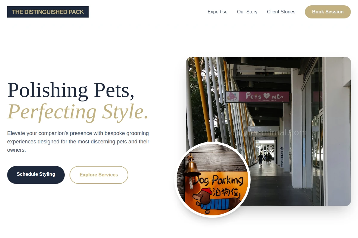pet-services