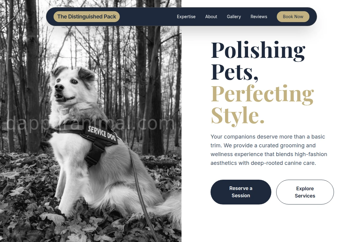 Bark Pet Services