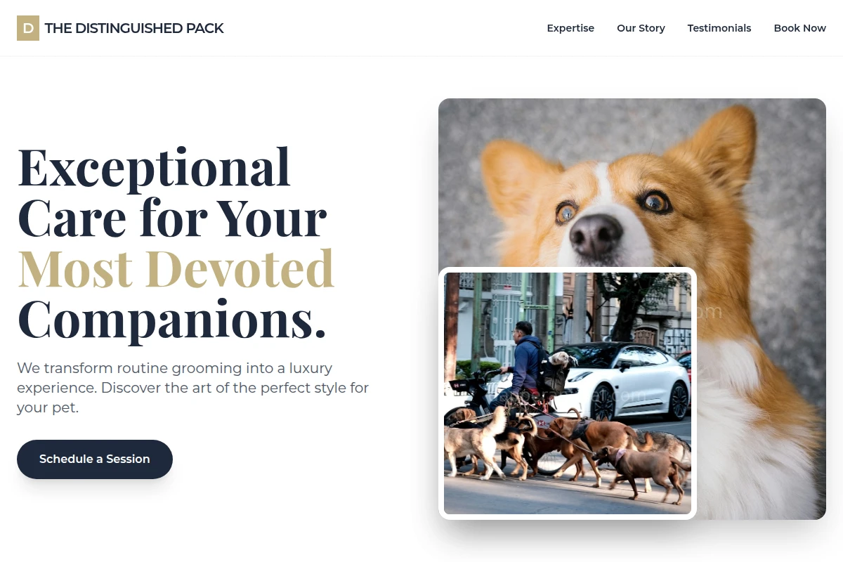 Spiff Pet Services