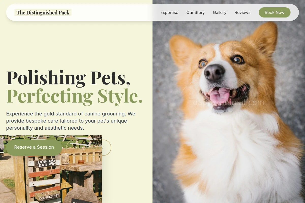 Canine Pet Services