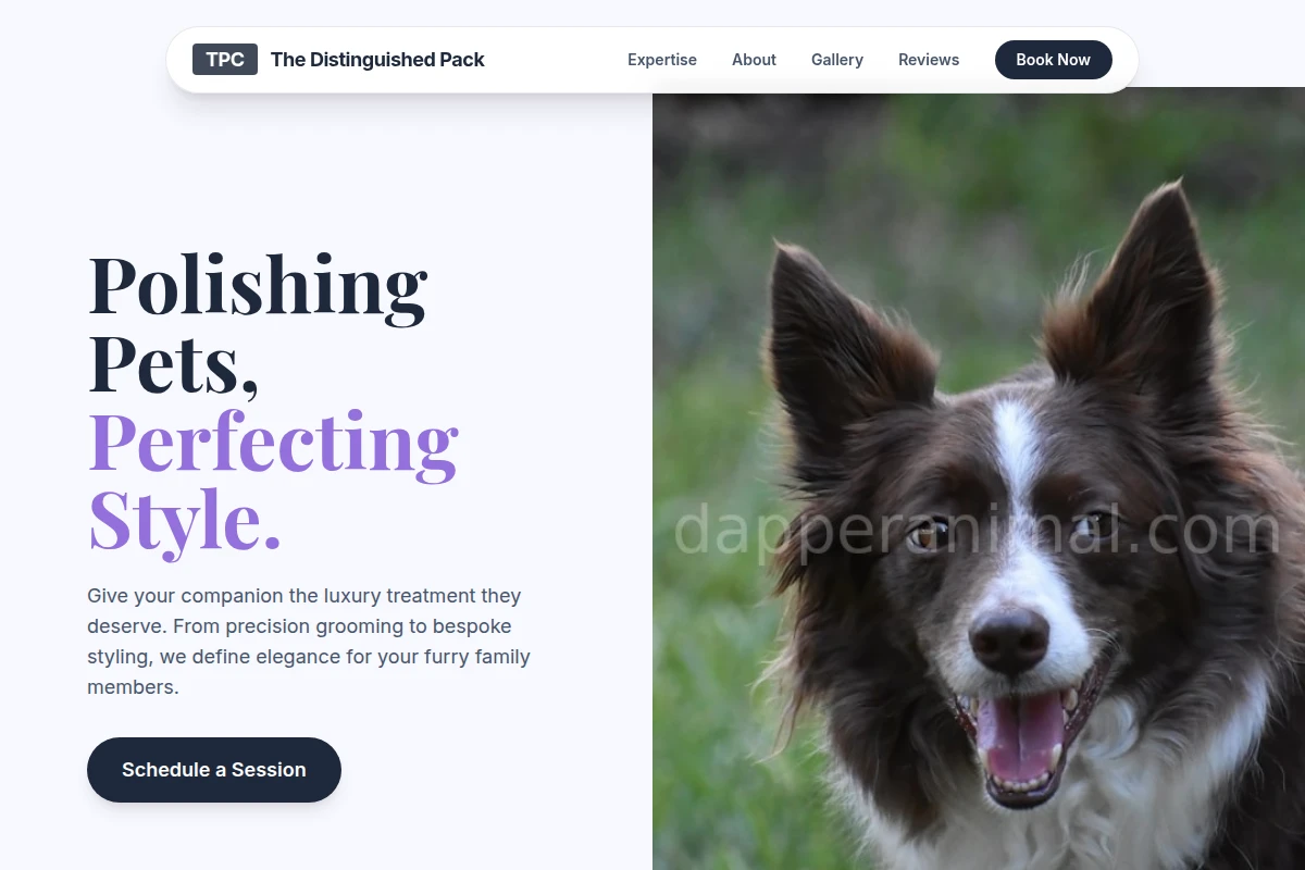 Animal Pet Services