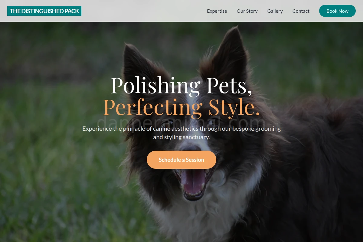 Bark Pet Services