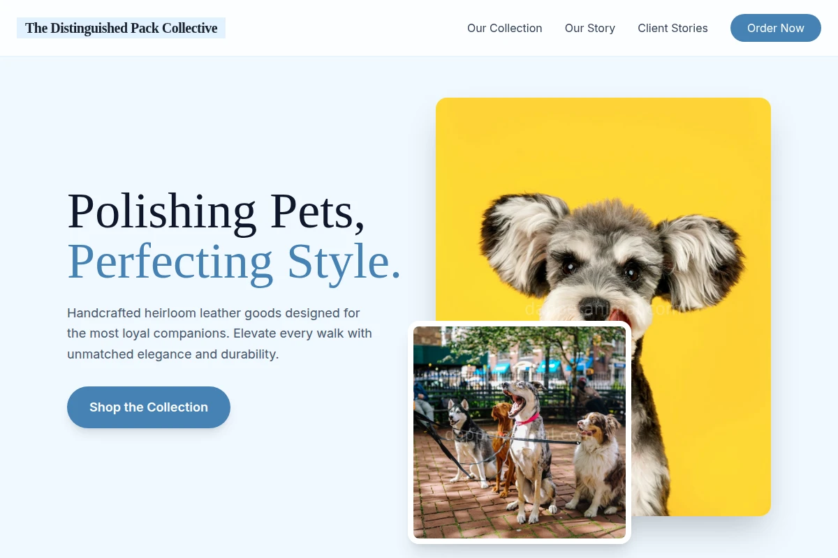 Leather Pet Shop
