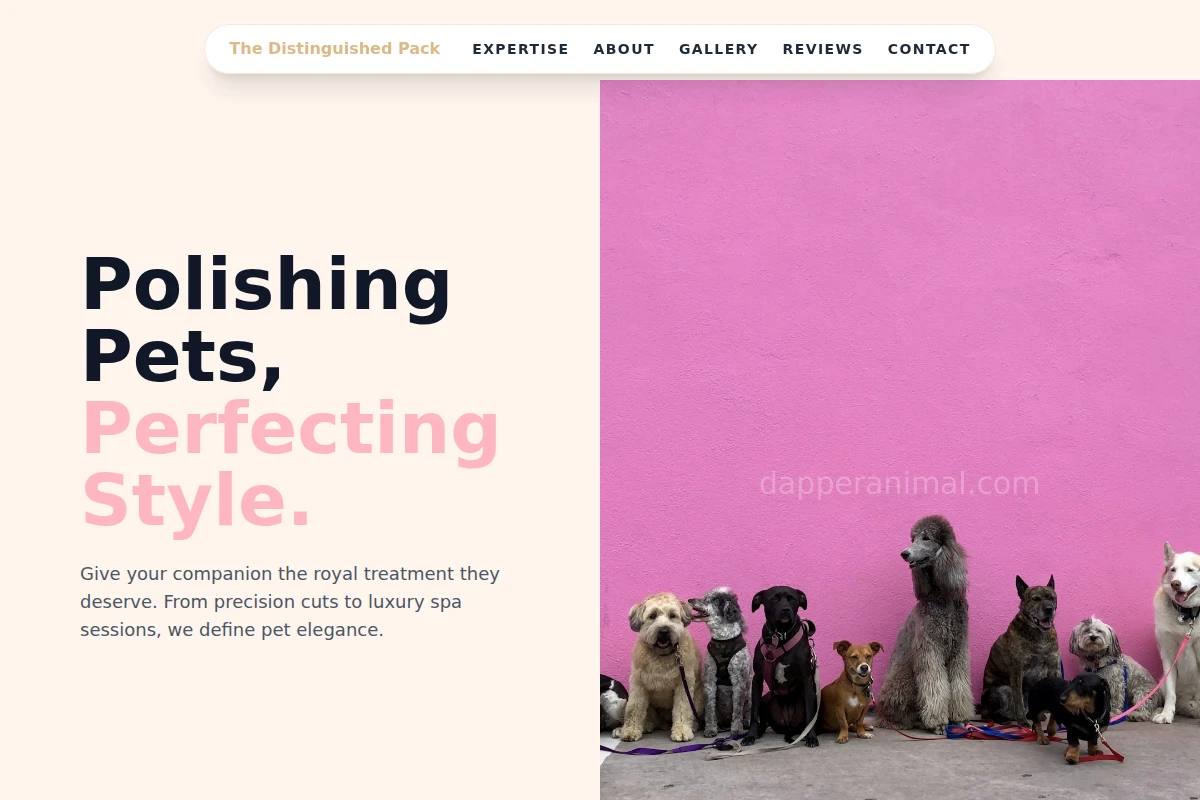 Style Pet Shop