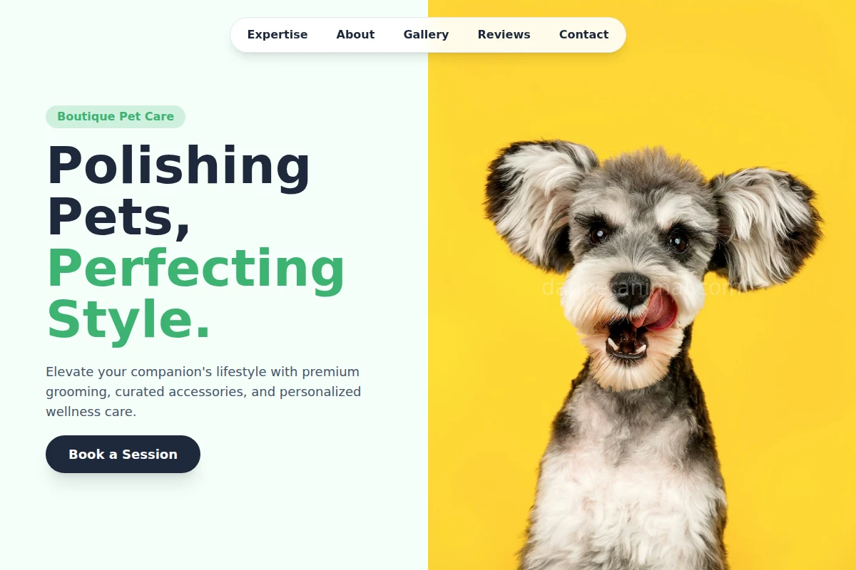Boutique Pet Shop