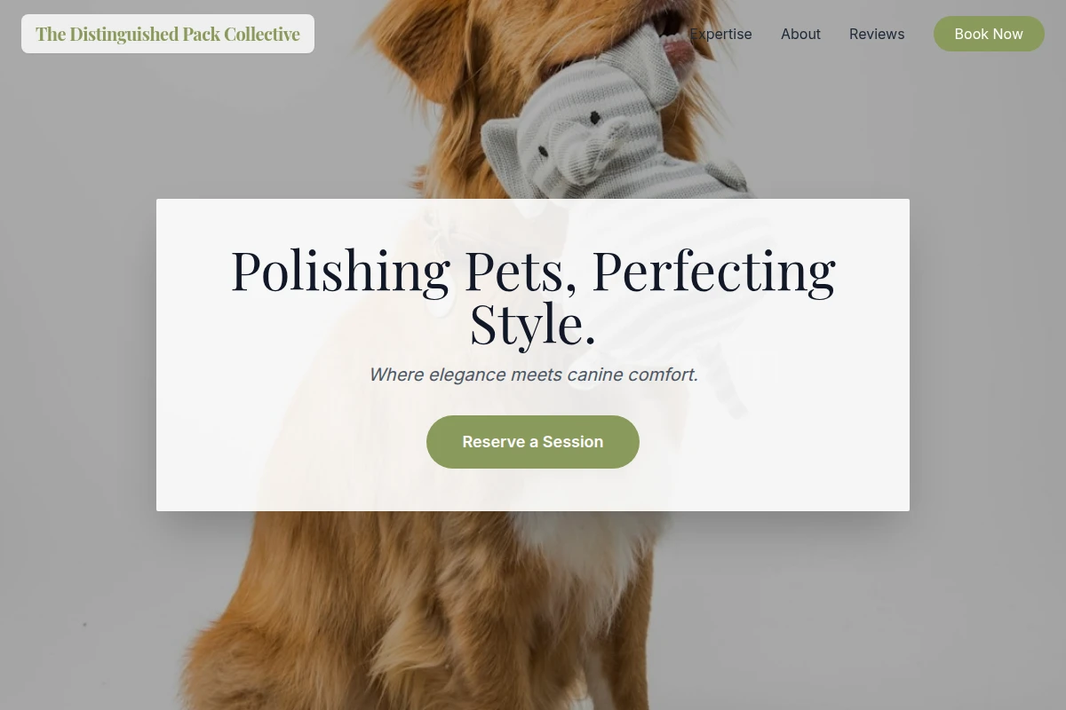 Paw Pet Shop