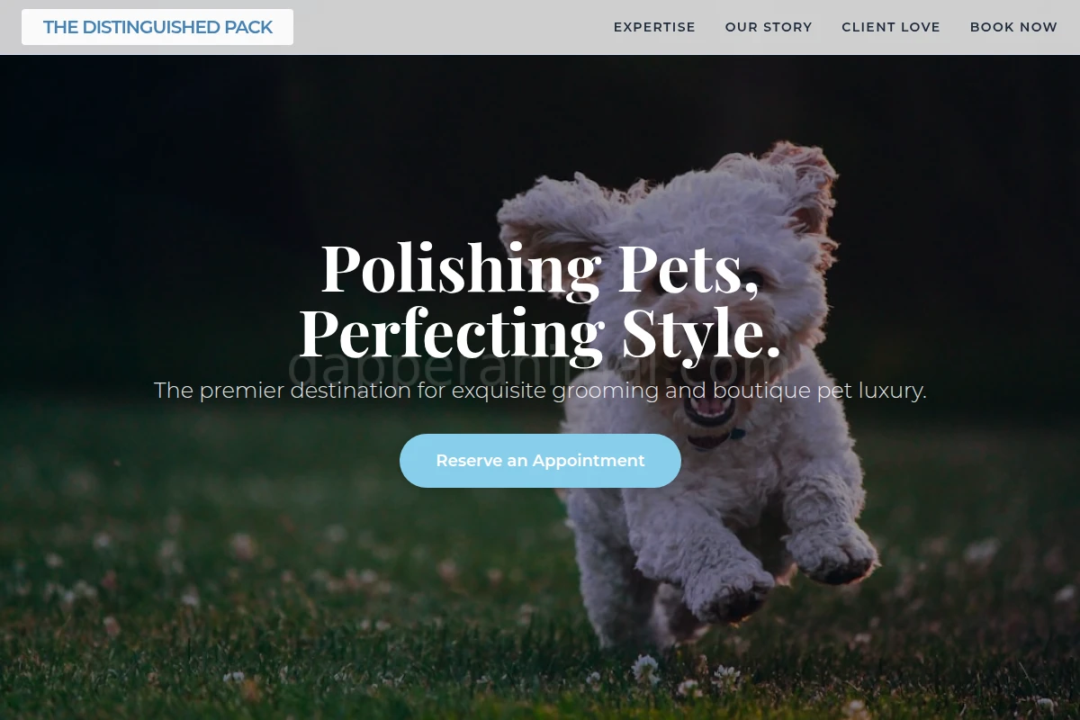 Paws Pet Shop