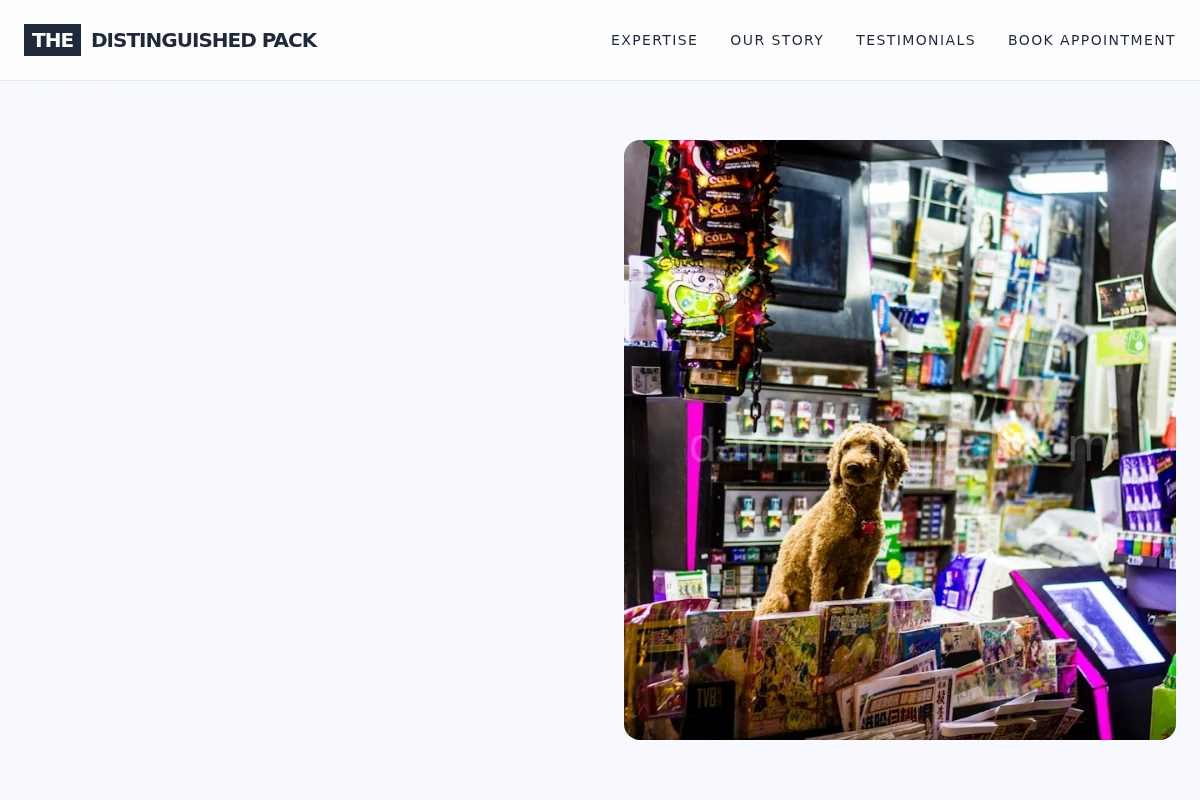Collar Pet Shop