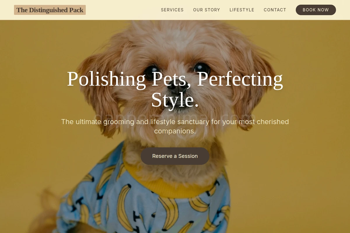 Leash Pet Shop